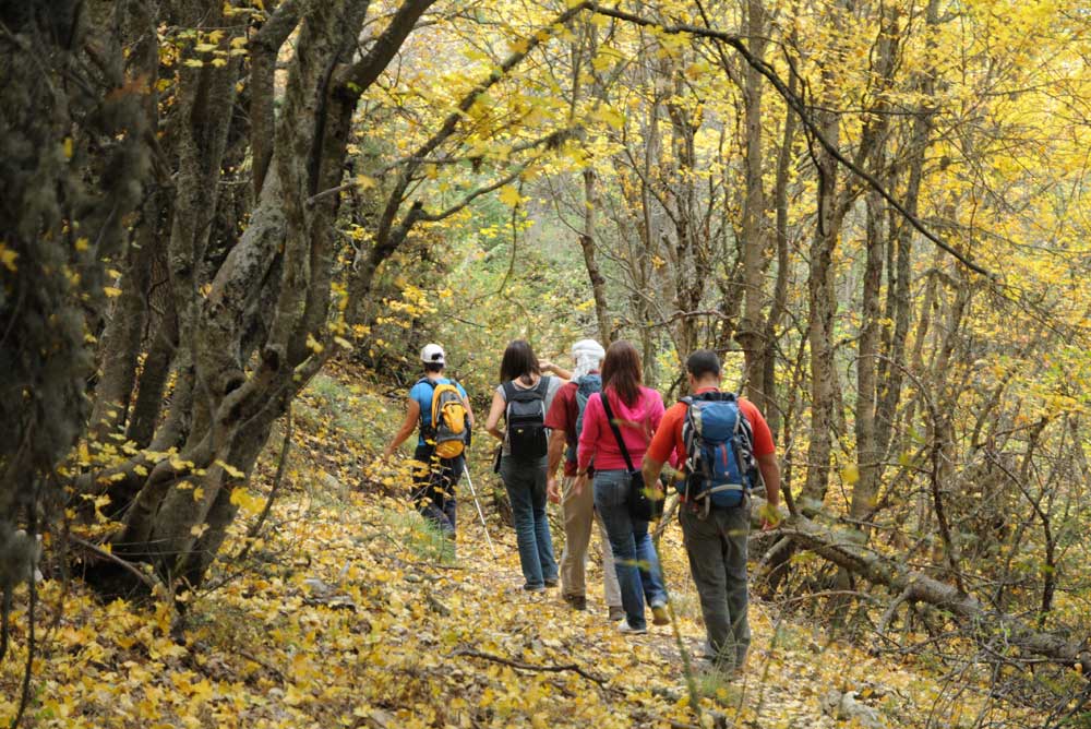 Adventure — A Different Activity Each Season 3