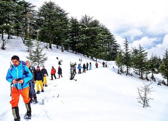 Adventure — A Different Activity Each Season 4