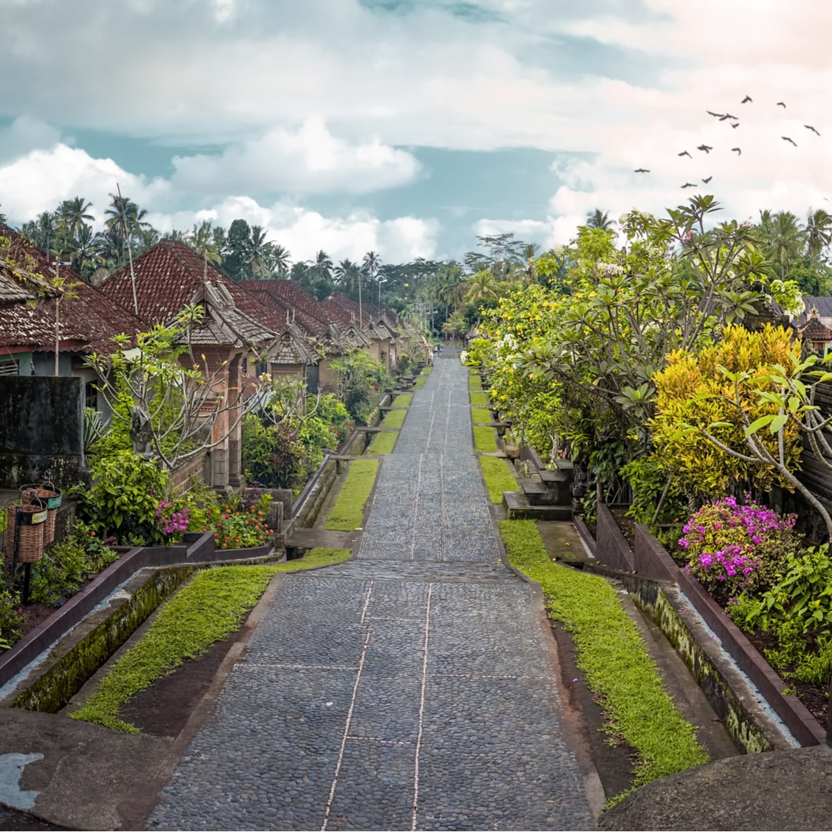 Bali 2