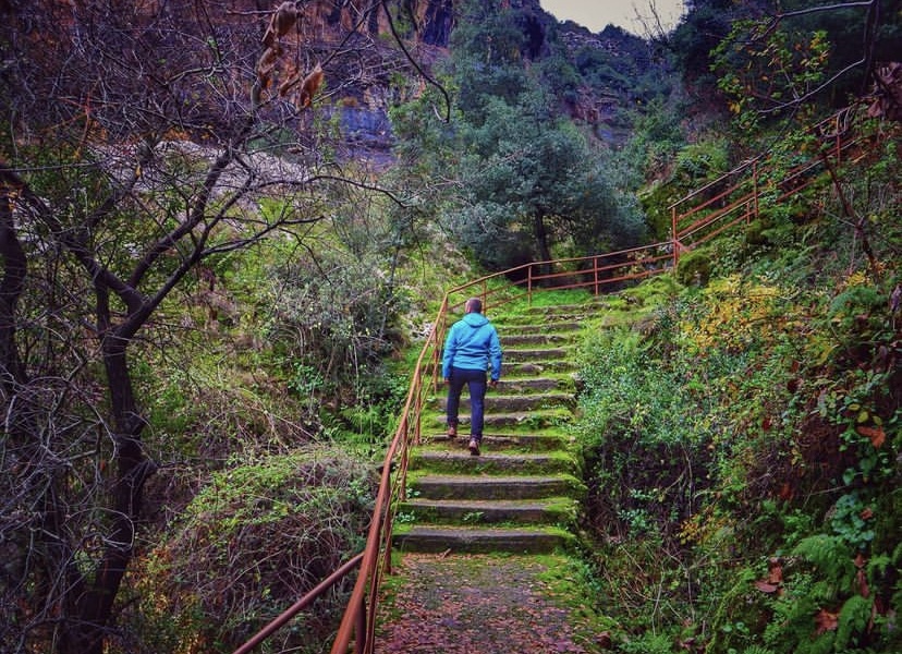 Hiking — Majestic Nature of Lebanon 1