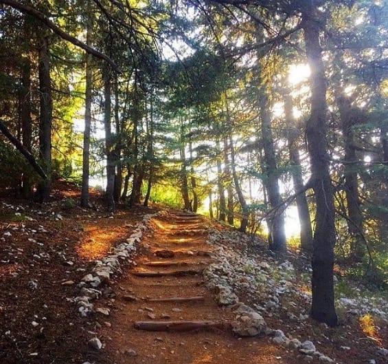 Hiking — Majestic Nature of Lebanon 3