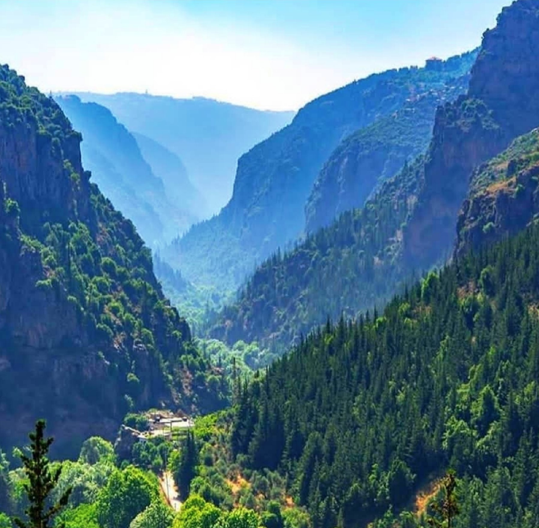Qadisha, Cedars & Bcharri 2