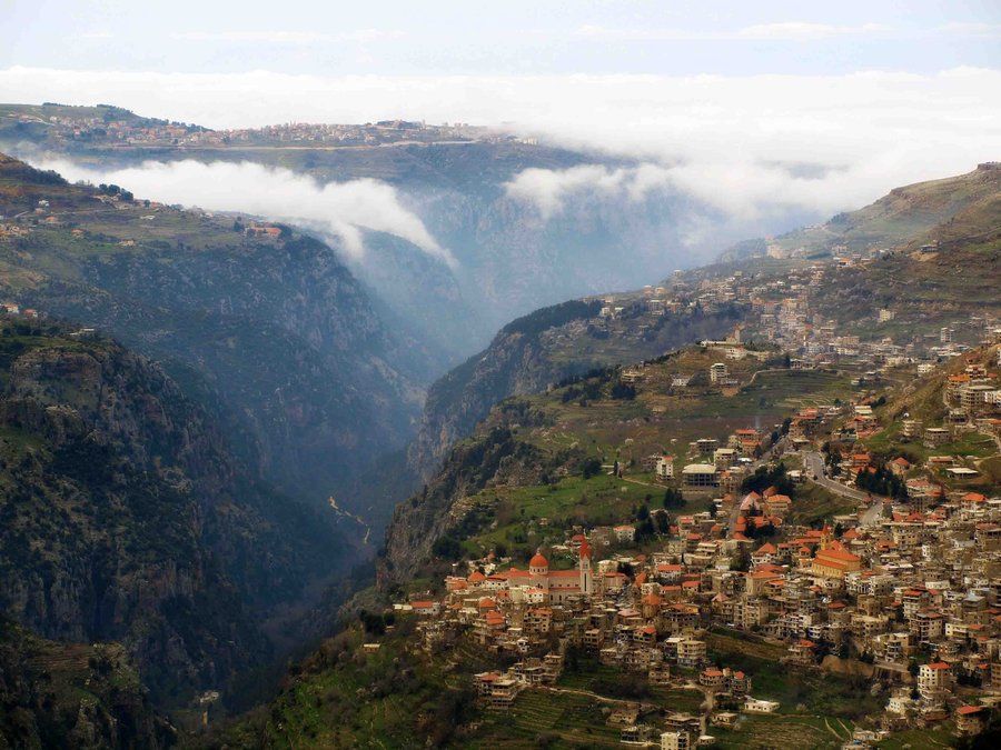 Qadisha, Cedars & Bcharri 4