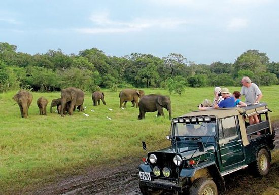 Sri Lanka 5