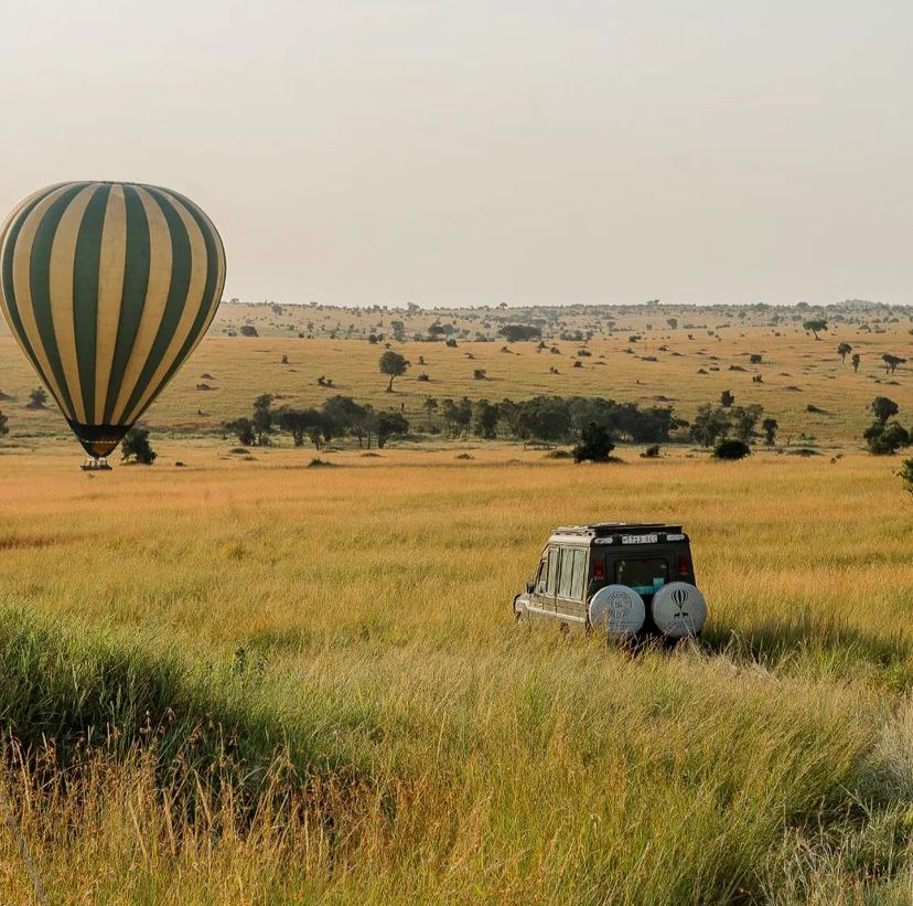 Tanzania Safari 5